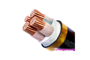 Zr-YJV Flame-Retardant PVC Cable National Standard Pure Copper Core Stranded Conductor 220V Rated New Energy Vehicles IP65