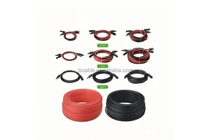 Lisheng Cable Low Voltage Tinned Copper XLPE Solar Cables for Photovoltaic Systems Flame-retardant Heat-resistant Power Cables