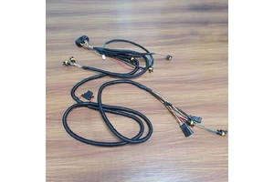 Custom MBMS Sampling Wiring Harness for New Energy Electric Vehicles EV Wire Harness Manufacturer High Quality Automotive