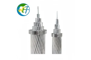 ASTM B232 Standard ACSR Conductor Steel Reinforced Aluminum Cable Bare Overhead Transmission Line Free Samples For EPC Projects