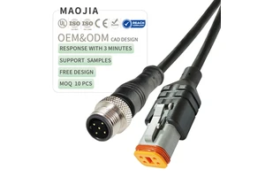 OEM M12 5Pin Male Code Overmolded Straight Waterproof Cable Wire Harness for Automobiles DT06-4S IP67 Molded Connector