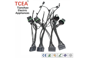Custom FLR13Y-A 0.35mm PVC Wiring Harness with Housing H201701062401A Terminal T20170PT0101A for Automotive Headlight System