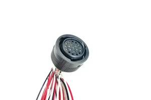 Battery Cable Assembly Customized Auto Wire Harness Solar Battery Jst 2 Pin Connector Energy Storage Wiring Harness