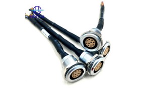Customized Multi-Core Electronic Wire Industrial Wiring Harness PFA Jacket Adapter Terminal Connection Cable Assembly Hotten