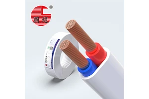 RVV 2/3/4/5/6 Core Copper Core PVC Sheathed Flexible Wire, 0.5mm²-6mm², 300/500V