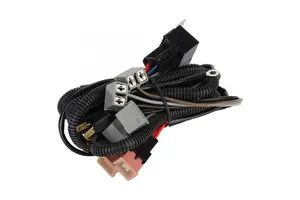 OEM High-Power Halogen Lamp Amplification Wiring Harness Tinned Copper Conductor PVC Insulation for Automotive Headlight Wire