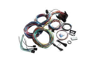 Universal 21 Circuit Auto Wire Harness Kit 17 Fuse Panel PTFE Wires for Classic Muscle Pickup Truck Chevy Ford Mopar Hotrod