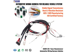 Drawing Custom Multi-Pin Connector Automotive Wire Harness Complete Vehicle ECU Sensor Cable Assembly for OEM Car Manufacturing