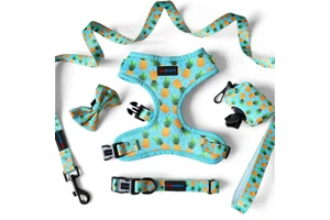 TOPBUDDY XXXS To XXL Custom No Pull Pet Harness Neoprene Dog Harness Set