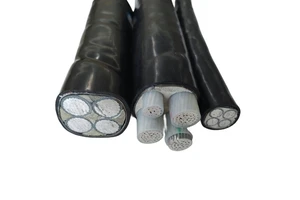 Low Voltage Xlpe Insulation Power Cable 3 Phase 10mm 16mm 25mm 4 Core Aluminium Cable Copper 6mm Underground Construction