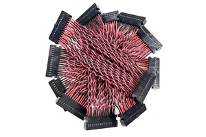 Custom Dupont Connector Cable Assembly