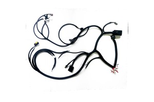 The Factory Processing Specialty Designs the Whole Vehicle Circuit Harness, Car Diagnostic Cable Wire Harness Automotive