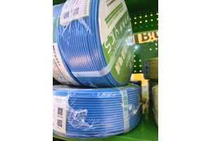 High-quality Pure Copper Flame Retardant Industrial Wire Cable Low Smoke Halogen-free WDZB-BYJ XLPE Insulated Twisted Wire