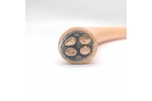 CFROBOT4 Flexible Hydrolysis-resistant TPE Insulated Robot Servo Motor Feedback Cable