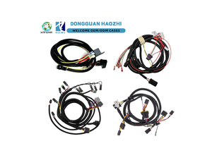 Custom Motor Controller Signal Cables Power Wiring Harness Assembly for EV Automotive ECU BMS Systems Automotive Wire Harness
