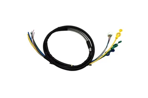 Manufacturer Custom-Made High-Temperature Resistant PVC IP67 Rated ISO9001 for Electric Scooter Motorcycle Power Wiring