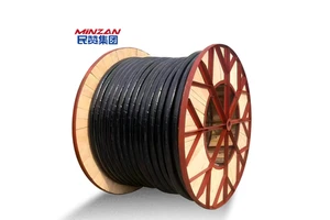 0.6/1.0 KV 3 4 Core 2.5MM 25MM 50MM 150mm Steel Tape Armored IEC 60502-1 U-1000 R2V N2XY YJV Cu/XLPE/PVC Underground Power Cable