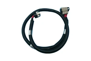 Customized 30cm K Swap Emtron Fueltech Haltech Link Motec MSW ECU Universal PVC/PET 12V Adapter Bare Copper Wire Harness