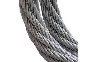 1x7 7x7 1x19 6x19+FC/IWS Steel Wire Rope Price