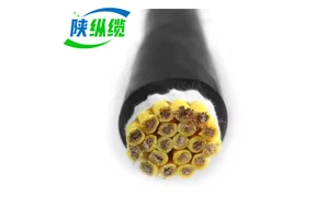 Copper Conductor Low Voltage PVC Sheath Roller Throttle Control Cable 450/750V0.6/1KV for Industrial Use