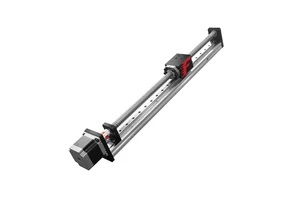 Wholesale Factory Supplier Linear Module Ball Screw Rail Guide With Servo Motor