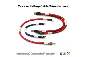 Custom Copper Core EV Battery Cable Assembly Silica Gel Insulated 380V Rated High Current Power Wiring Harness For Lithium