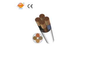 CE Certified H03V2V2-F H05V2V2-F PVC Flexible Electric Cable High Quality Assurance for Industrial Automobile Instrumentation
