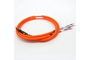 High Voltage Input Wire Harness Automotive Wire Harness Electrical Supplies New Energy Vehicle Heavy Duty Wiring Harness