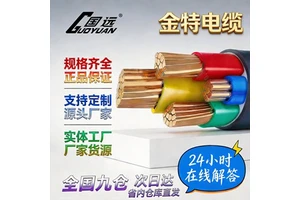 WDZ-YJY Copper Core Low Smoke Halogen Free Flame Retardant Power Cable GB Standard YJV Type China