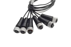 OEM ODM Custom M12 Sensor Connector 2 Pin a Code Female Straight Aviation Cable Assembly Extension Wire Harness for Automation