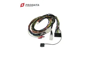 PRODATA Industrial 600V Custom-Made PVC/Copper Wiring Harness Cable Assembly for Automobile Control ISO9001 WIRE HARNESS