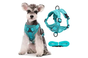 Luxury Floral Manufacturer Premium Custom Tactical Adjustable Reflective No Pull Breathable Personalized Dog Harness