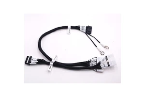 OEM Auto Electronics Wire Harness Custom Jst Molex Terminal Plug 2-30pin Cable Assembly for Automotive Use 4 Pin