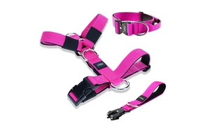 Hot Selling Neoprene Tactical No Pull Dog Collar Leash Harness With Luxury Metal Buckle Dog Lead For Large Breeds Dog