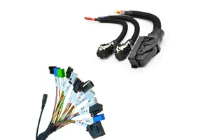 Customize Auto Electrical Electronics Harness Wiring Harness for Cars