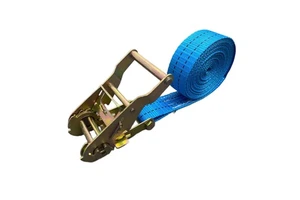 Provina Factory Price Heavy Duty Polyester Cargo Lashing Ratchet Tie Strap 25mm/38mm/50mm Sizes 5000kg Break Strength for