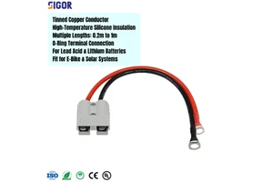 OEM Custom PVC/PTFE Tinned Copper IP66 Rated Wire Harness with O-Ring Terminal for E-Bike Lithium & Solar Systems