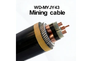WD-MYJY WD-MYJY43 Copper XLPE Insulated Armoured Industrial Mining Cable Low Smoke Halogen Free for Underground Mine Power