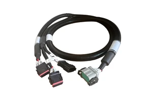 Customized High Voltage Electric Construction Vehicle BMS EV Cable PVC High Temperature Resistance OEM ODM Wiring Harness Cable