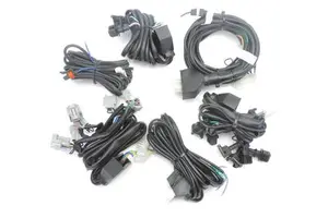 Custom Automotive LPG/CNG Injection Engine Wire Harness Cable Assembly