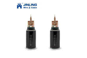 Factory Wholesale Customizable Full Size Pvc and Pe Control Cable Used in Control System