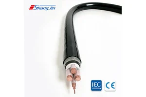 Armored Low Voltage Copper Power Cable for Underground Burial Construction Mining Extension DC Solar Panel Applications