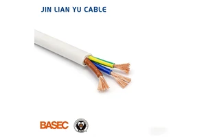 High Quality Oxygen-Free Copper Cable BASEC ROHS PVC Flame Retardant Lightweight High Conductivity Durable Building 24 AWG