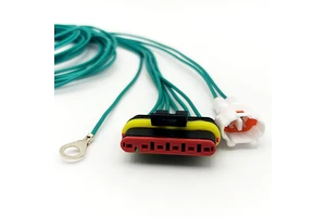 Pure Copper PVC Automotive Wiring Harness Cable Assembly for EV Motorcycle OEM ODM