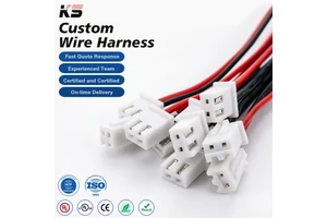 JST TE Molex Wire Harness SH ZH PH XH SM 1.0 1.5 2.0 2.54 Amass Lvds Cable Complete Wiring Harnesses for Electrical