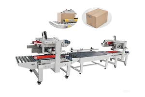 PLC Control Automatic Assembly Line Custom Packaging Production Solution