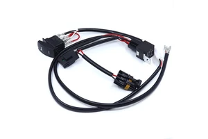 Automotive Cable Car Horn Wiring Harness with PVC/Nylon Insulation and Pure Copper Conductor