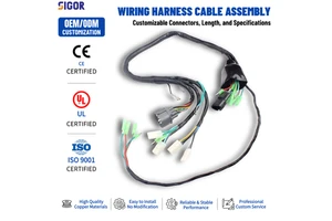 Custom Electrical Cable Harness Wear Resistant Heat Resistant PVC Jacket IP65 12V/24V Red Copper Wire Assembly for Motorcycle