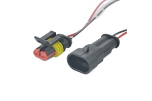 Customizable AMP 2P Automotive Waterproof PVC & Rubber Insulated IP67 Connector Docking Terminal Wire ASW18