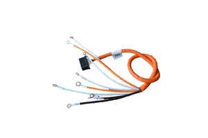 New Energy Vehicle Wiring Harness Induction Collection Induction System 22AWG 12Pins